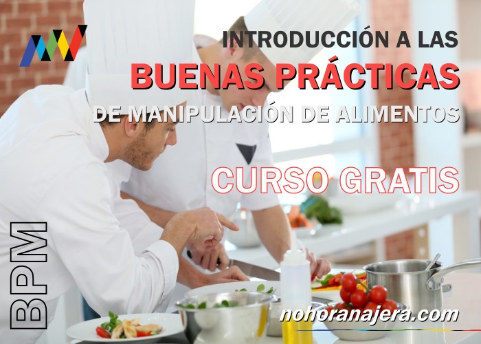 nohoranajera.com_cursos_bpmintrofree1.jpg